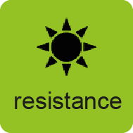 ICON Shop UV.png